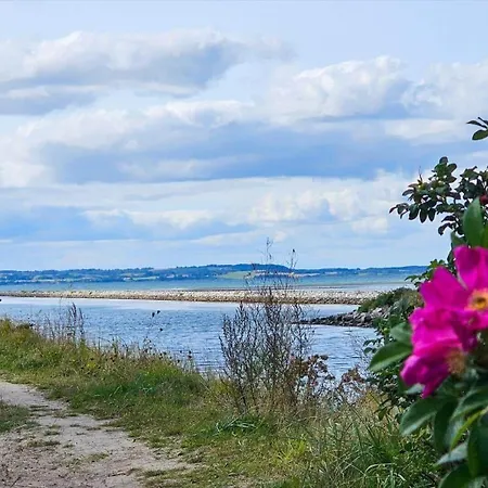 Holiday home 84232-ebeltoft-oer-hojden-22 Ebeltoft