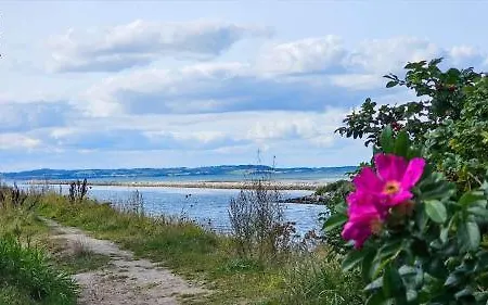Tatil Evi 84232-ebeltoft-oer-hojden-22 Ebeltoft